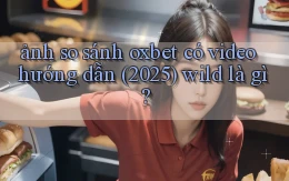 ảnh so sánh oxbet có video hướng dẫn (2025) wild là gì