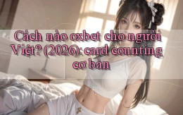 Cách nào oxbet cho người Việt (2026) card counting cơ bản
