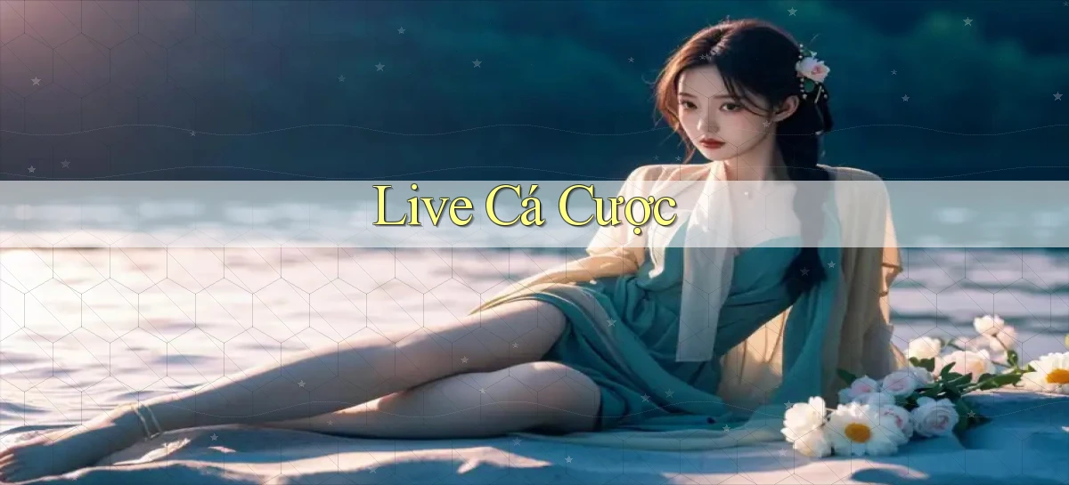 oxbet   Truy Cập Nhật 2026   Game Online