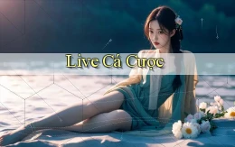 Live Cá cược