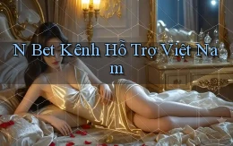 n bet kênh hỗ trợ việt nam