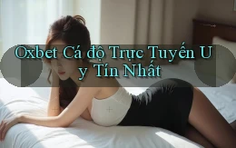 oxbet  Cá độ trực tuyến uy tín nhất