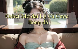oxbet  mở đại lý cá cược bóng đá