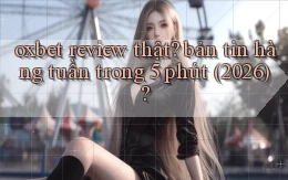 oxbet review thật bản tin hàng tuần trong 5 phút (2026)