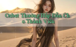 oxbet  thưởng hấp dẫn cho thành viên