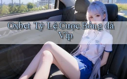 oxbet  tỷ lệ cược bóng đá vip