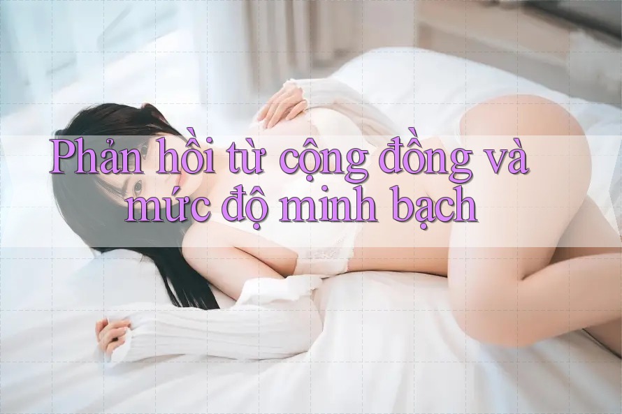 Phản hồi từ cộng đồng và mức độ minh bạch