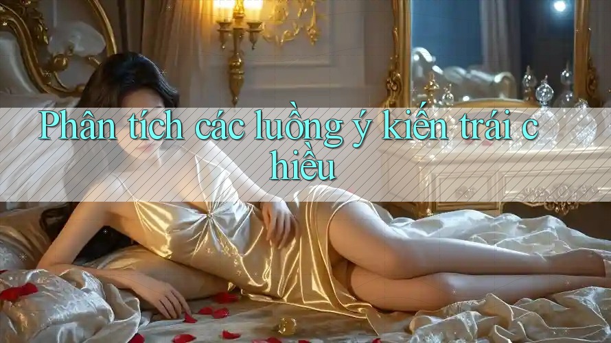 Phân tích các luồng ý kiến trái chiều Phân tích các luồng ý kiến trái chiều